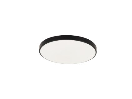 Stropné svietidlo DOWBOR LED C 12W BLACK Neutral White