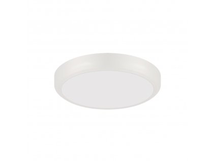 Stropné svietidlo NASTIA LED C 14W WHITE CCT