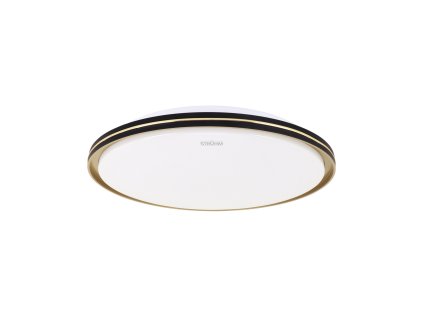 Prisadené stropné svietidlo FIESTA LED C 24W CCT