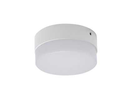 3973 prisadene stropne svietidlo robin led c 12w neutral white