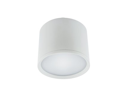 4042 stropne bodove prisadene svietidlo rolen led 10w white neutral white