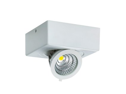 4078 stropne bodove prisadene svietidlo igor led d 6w white neutral white