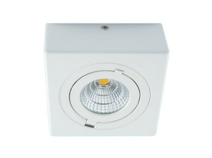 4081 stropne bodove prisadene svietidlo igor led d 9w white neutral white