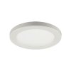 5086 prisadene stropne svietidlo olga led c 12w white cct