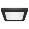 Prisadené stropné svietidlo OLGA LED D 24W BLACK CCT