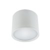 4042 stropne bodove prisadene svietidlo rolen led 10w white neutral white