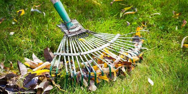 Trávník - podzimní péče