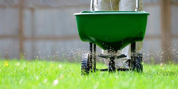 Trávníkové hnojivo - výživa trávníku