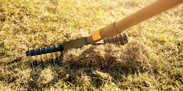 Vertikutace trávníku - jak na to?