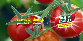 Vitality Komplex - Recept na úspěšné pěstování rajčat a paprik