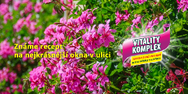 Vitality Komplex - Recept na úspěšné pěstování muškátu a surfinie