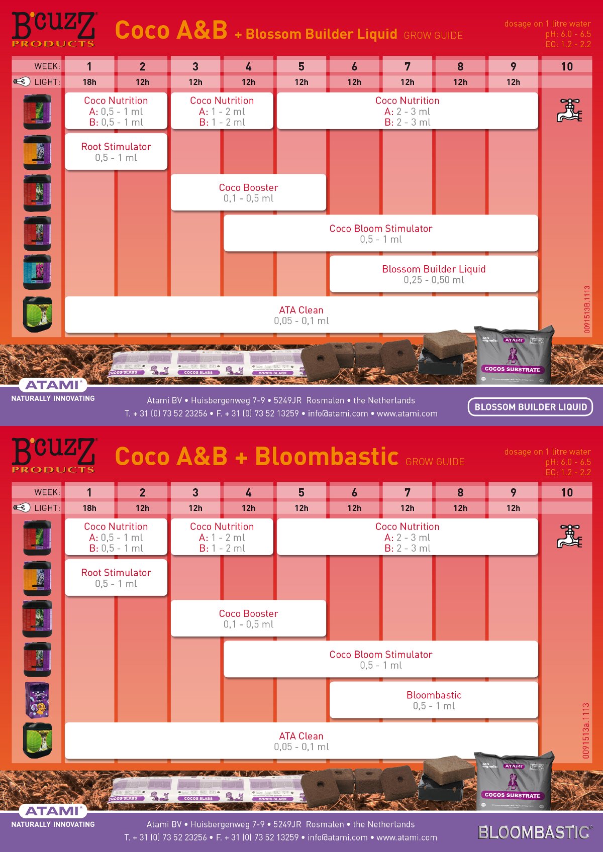 BCuzz coco ab