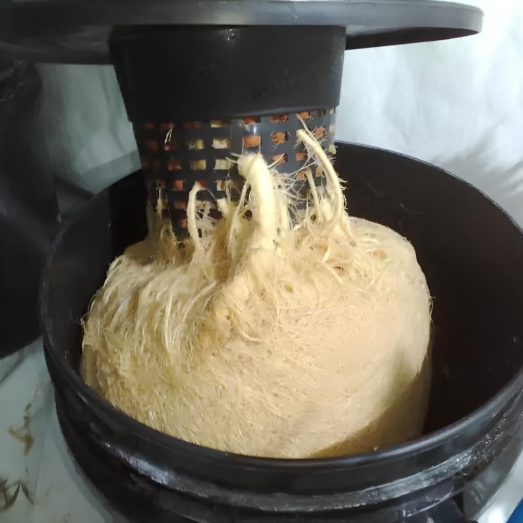 DWC hydroponický systém