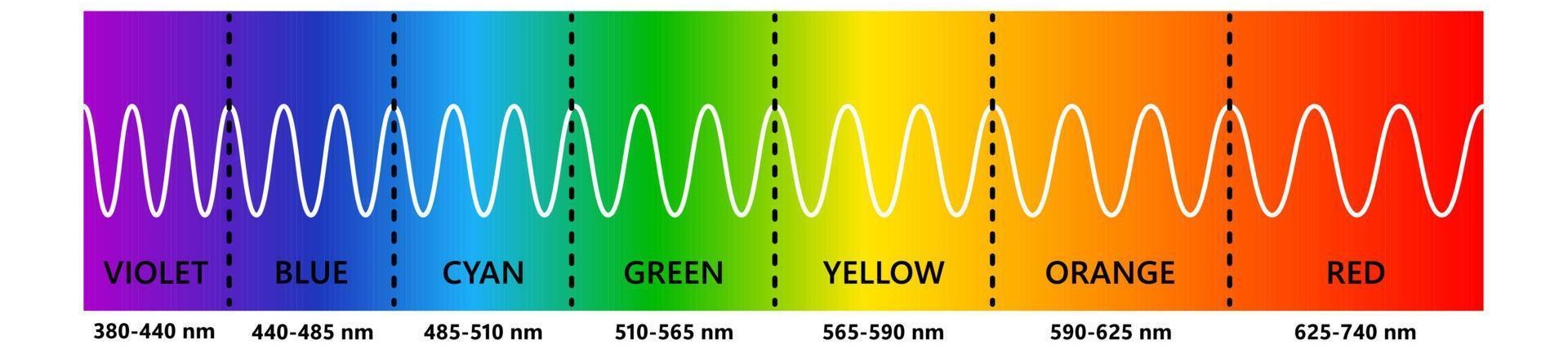 Diagram viditelného spektra světla s barvami a jejich vlnovými délkami od fialové po červenou.