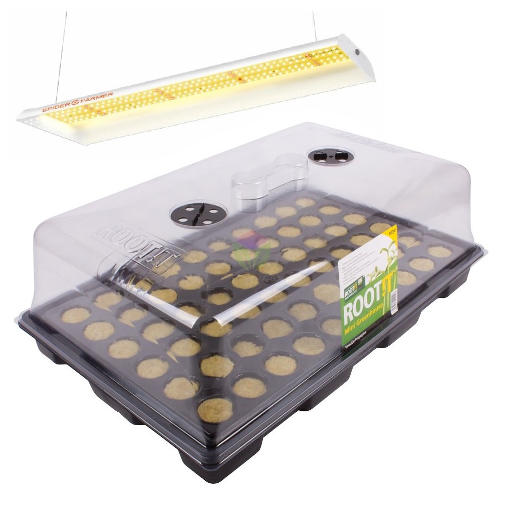 48538 root t sklenik 57x38x17 cm komplet vlastni konfigurace