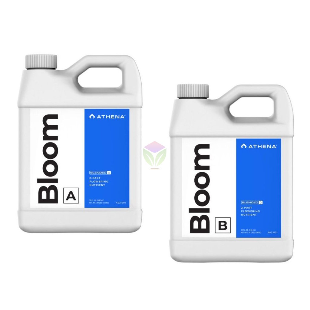 59547 1 athena blended line bloom a b 950 ml