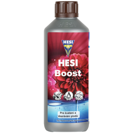 HESI Boost