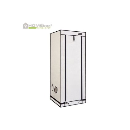 HOMEbox Ambient Q60PLUS 1