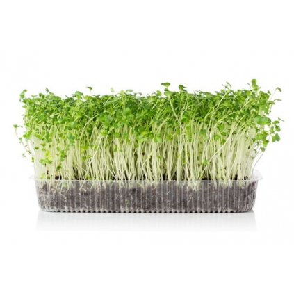 bio horcice bila microgreens