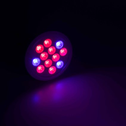 led zarovka pro pestovani 12w