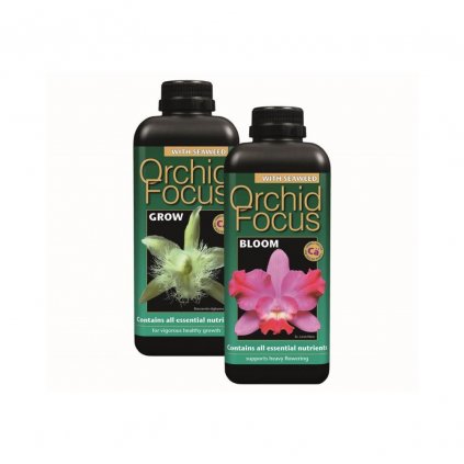 Growth Technology Orchid Focus Bloom