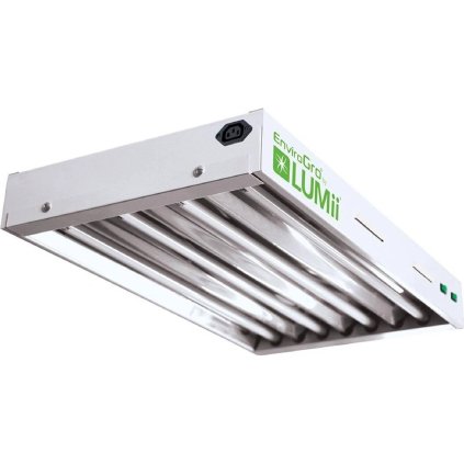 lumii
