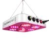 Bloombeast A520 240 W