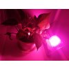 278 10 led grow reflektor ip65 50w fullspectrum