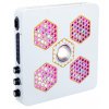 led panel beehive b4