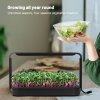 Microgrow microgreens 7