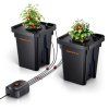 hydroponicky system spider farmer dwc 2 pot (12)