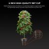 hydroponicky system spider farmer dwc 4 pot (7)