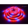 led grow apsek r5b1