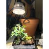 836 3 sansi led grow zarovka pro rostliny 15w