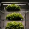 47736 3 3 linearni osvetleni pro microgreens 100w