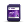 Plagron Power Buds (Objem hnojiva 20 l)