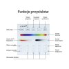 pilot nascienny rf 4 strefowy multi 5w1 (3)