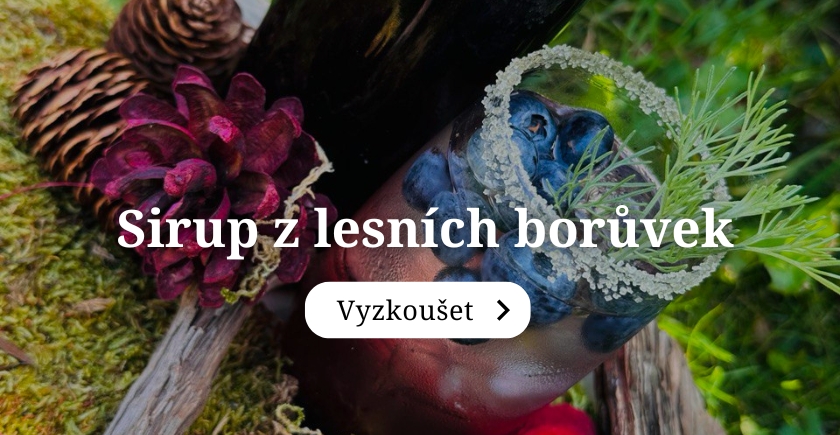 Borůvka