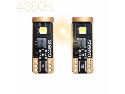 parkovacky T10 4300K
