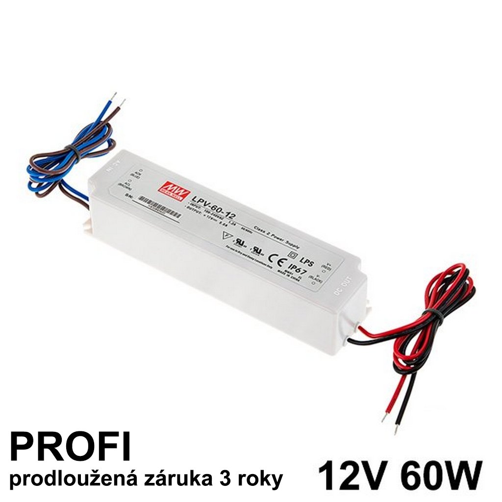 12V 60W Mean Well