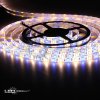 5536 7 5m led pasik 60led m smd5050 ip65 rgb ww rgb tepla biela 12v