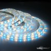 6937 2 5m profi led pasik 60led m smd5050 rgb w rgb neutralna biela ip65 24v