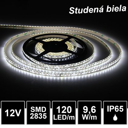 120LED 6000K IP65 led pasik