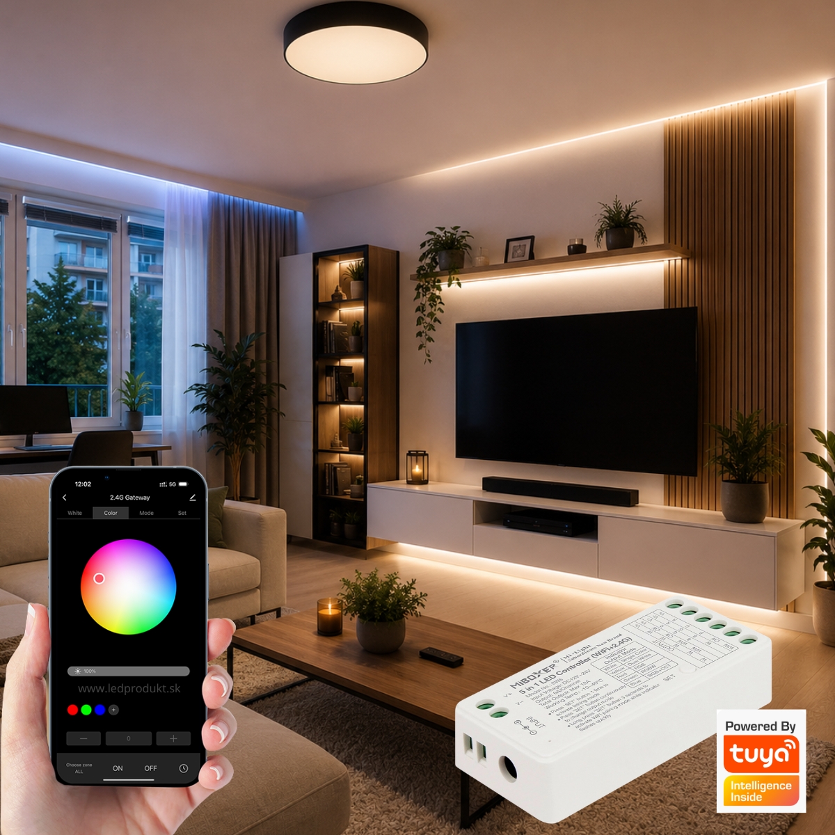 LEDprodukt LED prijímač RF6 2 in 1 - 2,4GHz WIFI (FUT035W+)