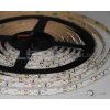 4597 4 5m led pasik 60led m vodeodolny smd3528 studena biela ip65 12v