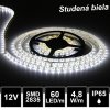 IP65 SMD2835 studena biela led pasik 12V