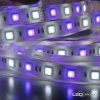 9331 5 profi led pasik 60led m smd5050 rgb w rgb studena biela ip65 24v