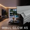2m LED profile WALL-GLOW 45