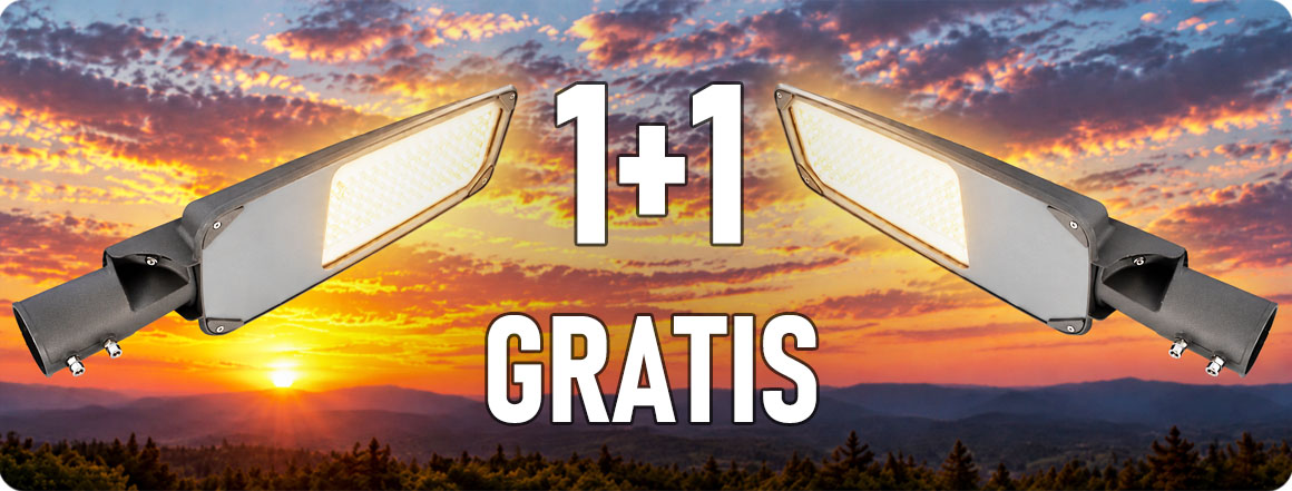 101619/1+1