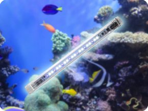 AQUAEL ILUMINAT PENTRU ACVARIU LEDDY TUBE 17W SUNNY D&N 2.0
